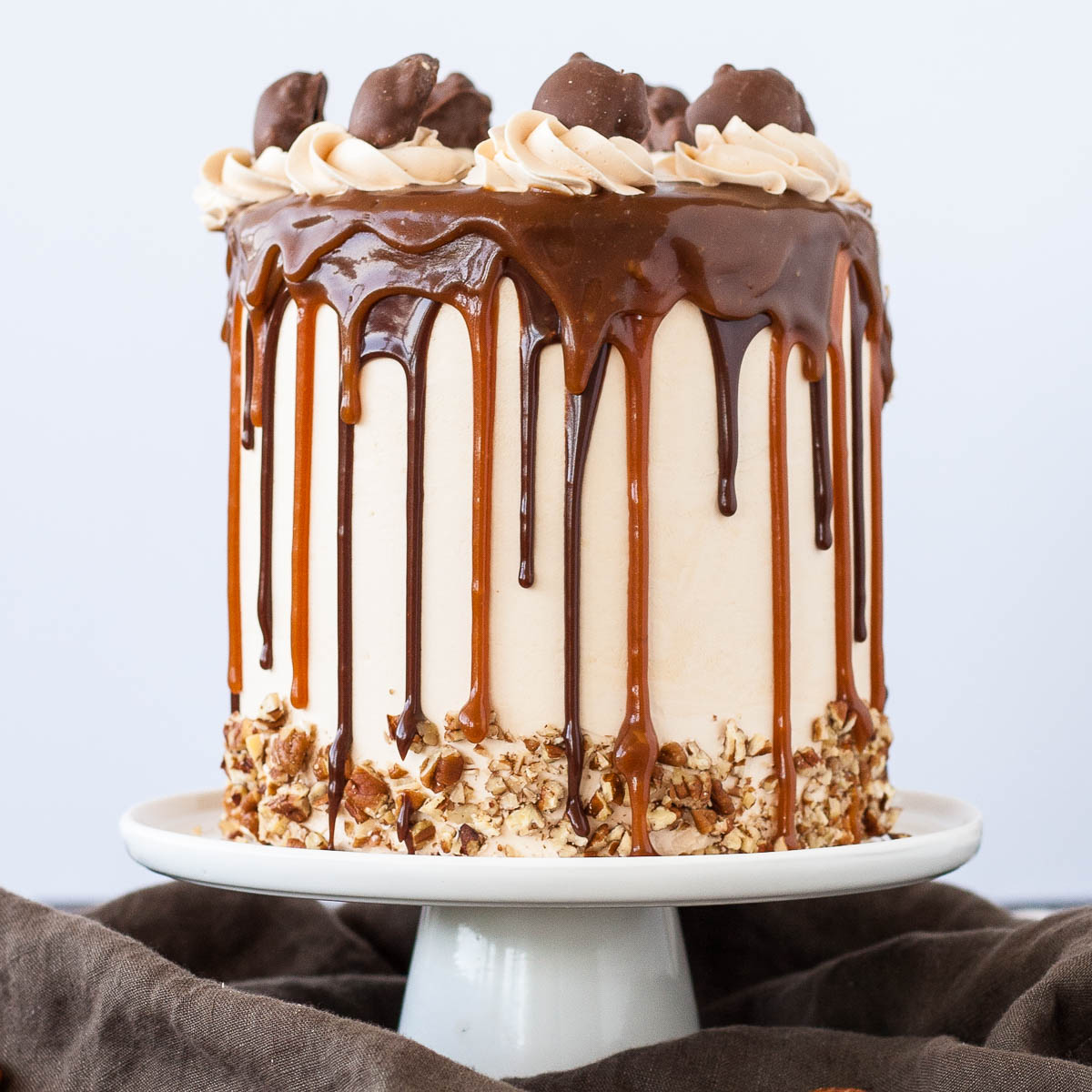 Gâteau Tortues